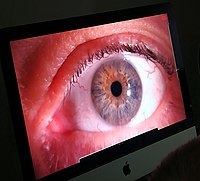 ANALISI DELL'OCCHIO 2.jpg