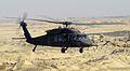 Datei:Blackhawk.jpg