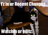 Lolcat watching RC.png