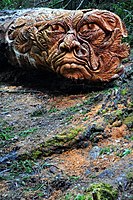 Carving (5472228424).jpg