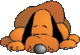 Hund003.gif