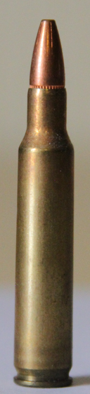222remmagnum.png