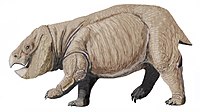 Dicynodont from PolandDB.jpg
