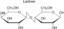 Lactose(lac).png
