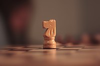 Caballo (8195466959).jpg