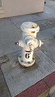 Fire hydrant that looks thirsty.jpg