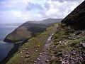 Kerry Way oberhalb Dingle Bay