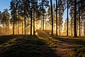 Schweden