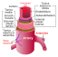 Artery.svg