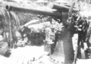 GuadJapanese3inch.gif