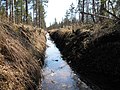 osmwiki:File:Forest ditch.JPG