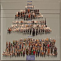 Beetle trophic pyramid.jpg