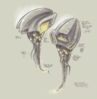 Celia-warship concept-art-mango.png