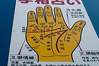 手相占い (4574189482).jpg