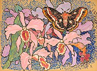 Gisbert Combaz - Orchids and an Emperor Moth.jpg