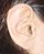 Image of a Woldermuth's ear.jpg