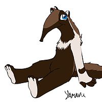 Anteater Anthro.jpg