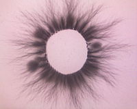 Fire cleaning 006.jpg