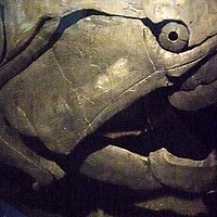 Dunkleosteus (41478438600).jpg