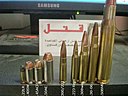 300-221.jpg