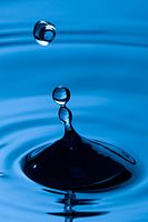 Waterdrops (4648726722).jpg