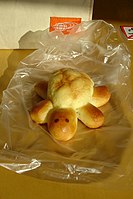 カメ君 (3726966290).jpg