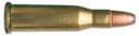 218 Bee.png