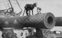 PSM V88 D071 Cannon of british warship hms canopus 1916.png