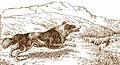 The Shepherd's Dog by Samuel Howitt.jpg