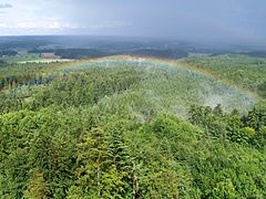 Regenbogen-Aussichtsturm.jpg