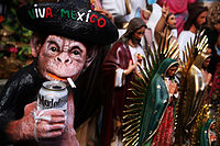 Mexican curious monkey.jpg
