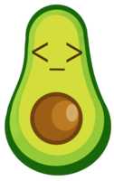 Avocado Coder.png