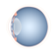 201405 eye.png