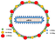Hepatitis-d-virion-Pathogens-04-00046-g001-1024.png