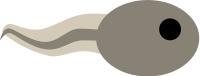 Tadpolee.svg