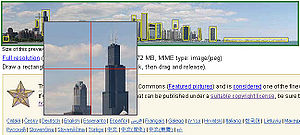 ImageAnnotator DrawZoom.jpg