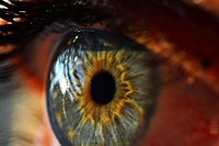 Human-eye-995168 640.jpg
