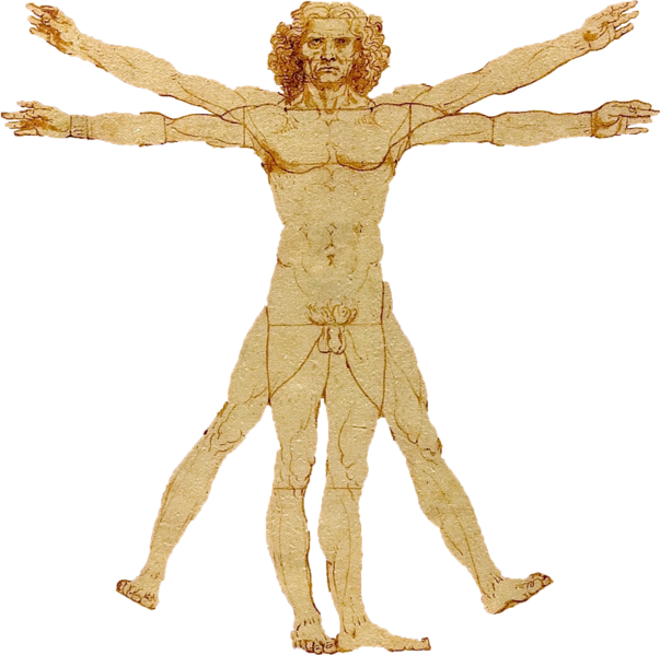 File:Portale Leonardo da Vinci.png