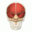Cerebrum animation small.gif